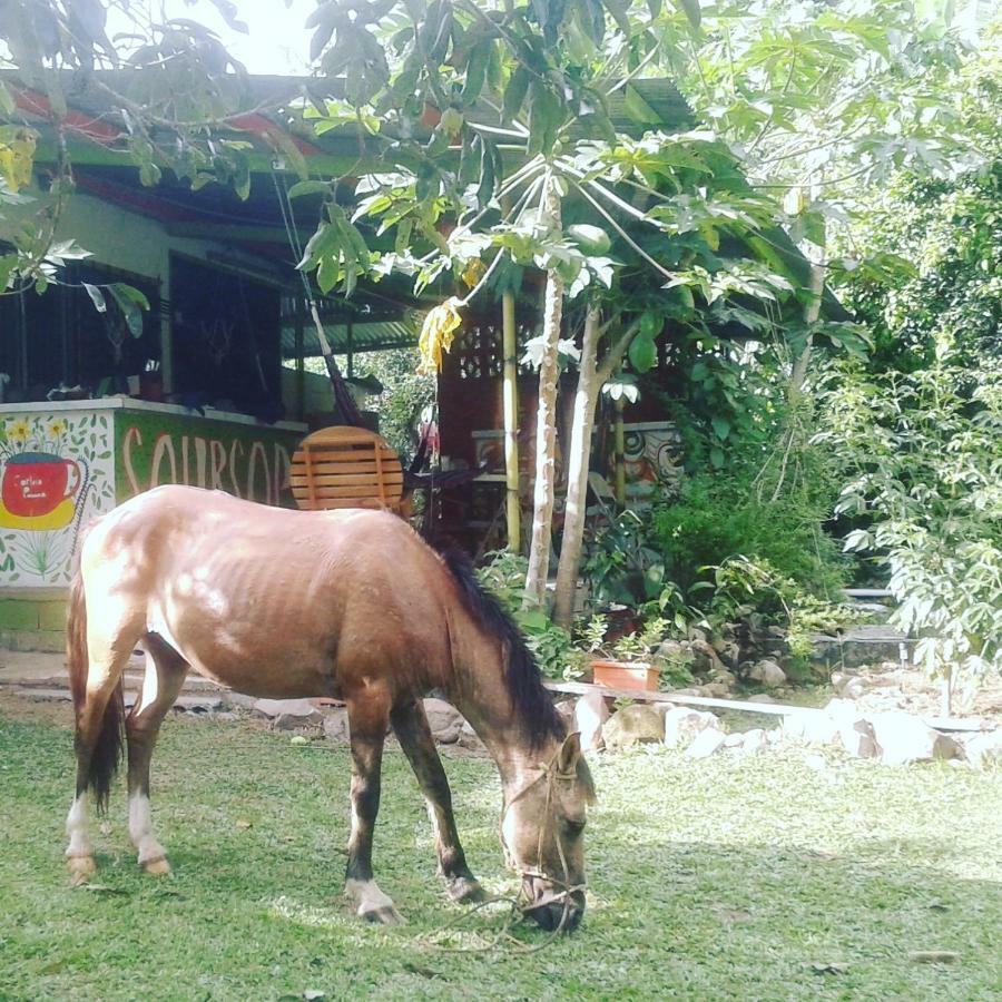 Soursop Hostel Cueta المظهر الخارجي الصورة